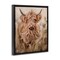 Stupell Industries Curly Haired Highland Cattle Floating Frame, design by Ashley Bradley